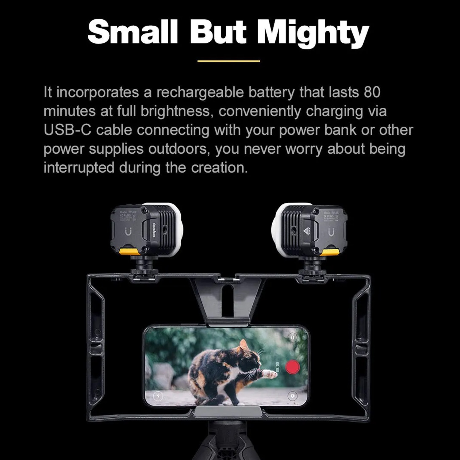 Lampu LED Tahan Air Godox WL4B - Photography Lighting App ulasan dan harga